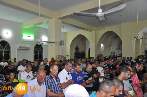 tarawee7 jablaiya (18).JPG